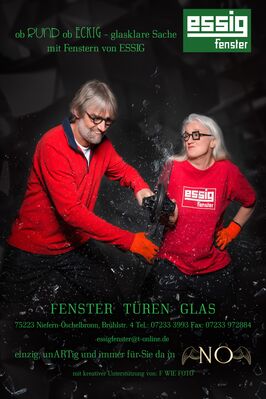 Corona - Hilfsprojekt für Essig Fenster