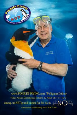 Corona Hilfsprojekt Pinguin Diving