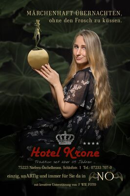 Corona Hilfsprojekt Hotel Krone