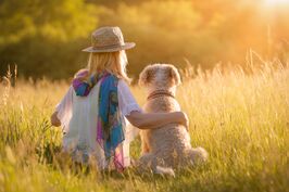 summertime with dog
